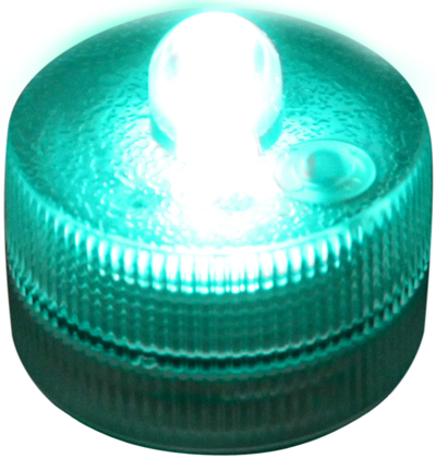 Submersible FloraLyte3™ Teal - L.E.D Lights Submersible FloraLyte3™ Teal - L.E.D Lights